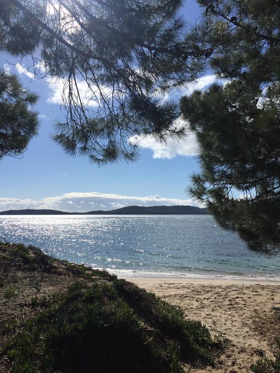 Villas Cala Corsa - 3 Et 4 Chambres - Cala Rossa Porto-Vecchio - Villas Entierement Climatisees Avec Piscine Chauffee Partagee Et Piscines Privees - Internet Gratuit Eksteriør billede