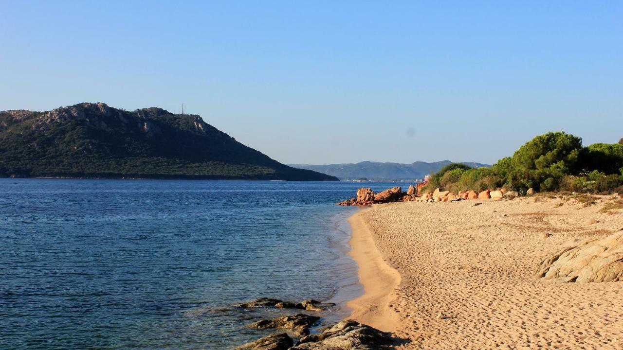 Villas Cala Corsa - 3 Et 4 Chambres - Cala Rossa Porto-Vecchio - Villas Entierement Climatisees Avec Piscine Chauffee Partagee Et Piscines Privees - Internet Gratuit Eksteriør billede